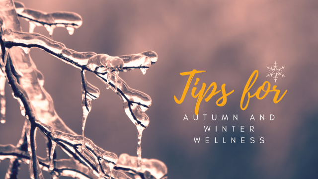 Tips for autumn and winter wellness (PDF booklet)